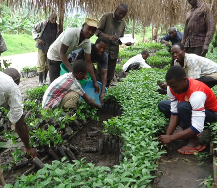 Training-Seesion-By-Handz-U-Ltd