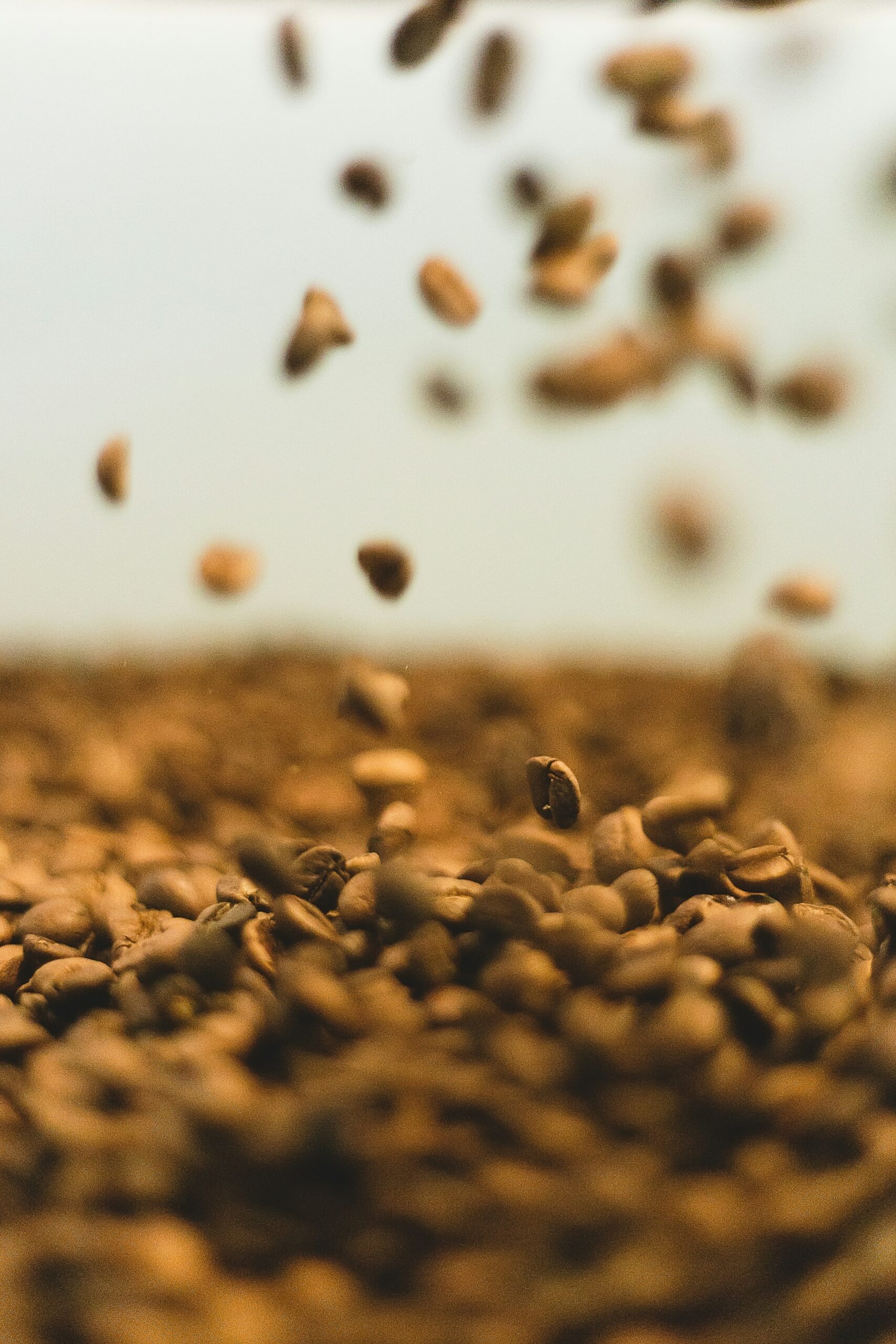 afrah-0x-_TV1zQFU-unsplash