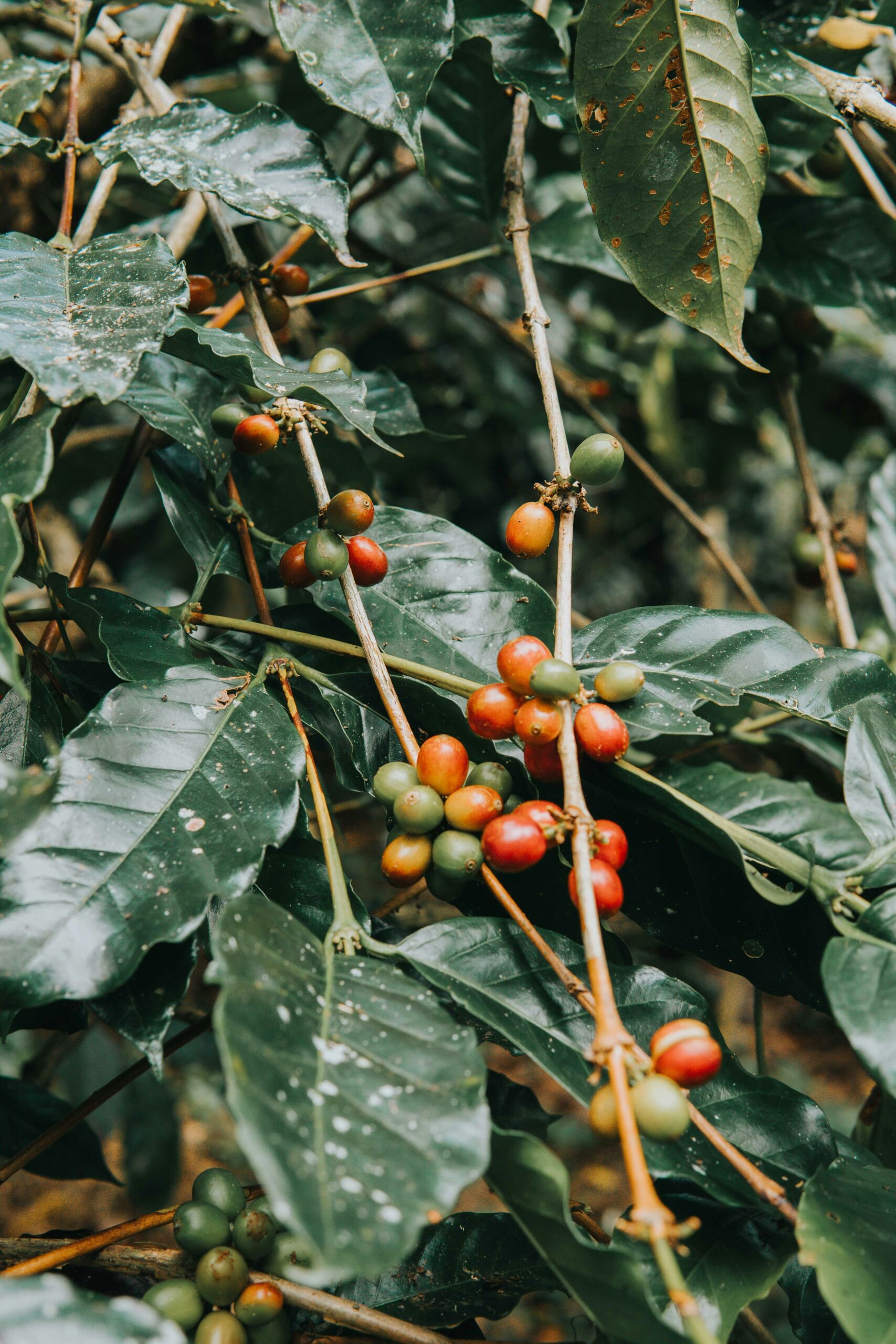 delightin-dee-ICAYc8e2pls-unsplash