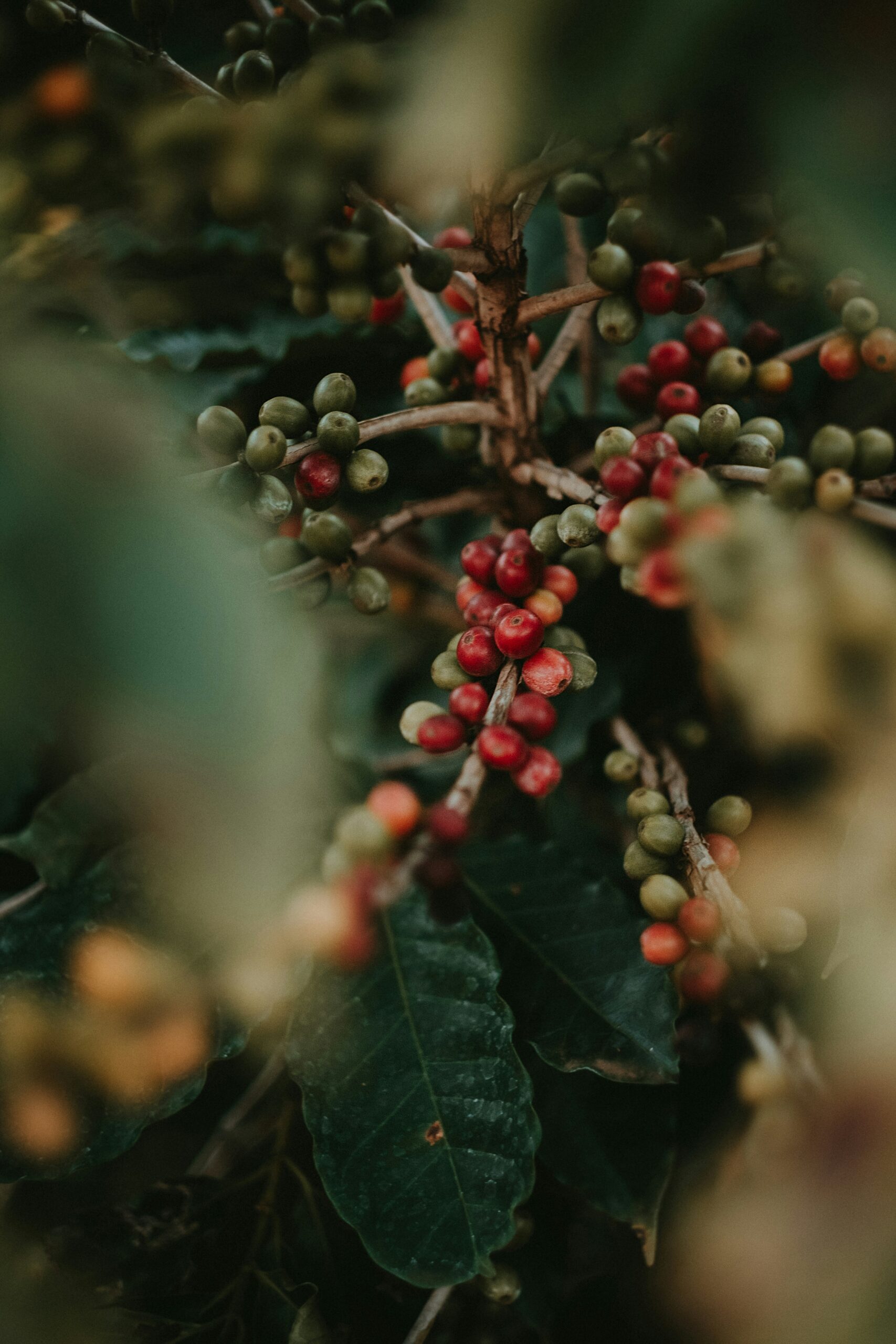 eduardo-gorghetto-vJ3KldG86Eo-unsplash