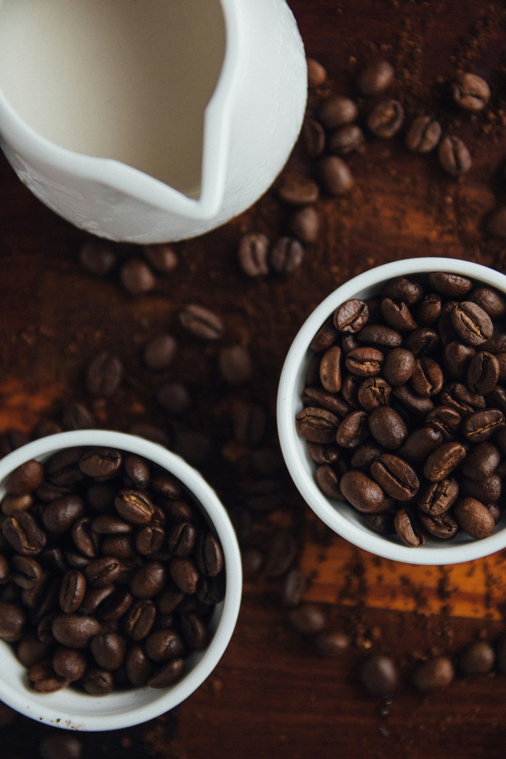 maria-fernanda-gonzalez-kWVXCmyB9so-unsplash