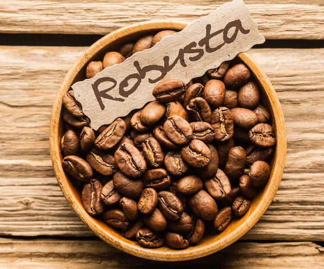 robusta